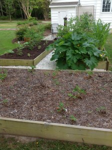 The exponential comparison